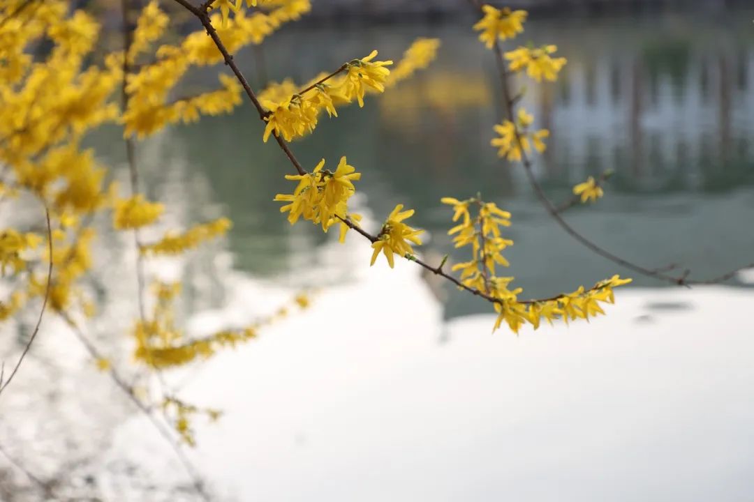 fe0a0aab093d4b009c61dcf76ac42e6f.jpg